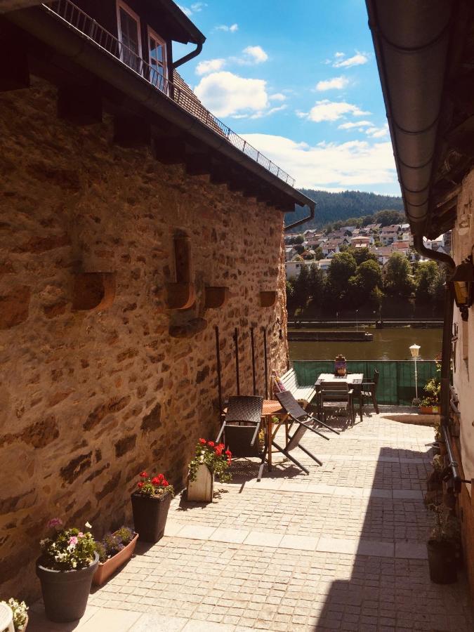 Neckarblick,Natur, Altstadt ฮิชฮอร์น ภายนอก รูปภาพ