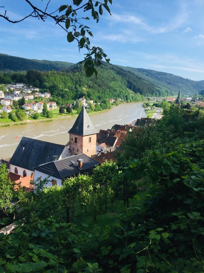 Neckarblick,Natur, Altstadt ฮิชฮอร์น ภายนอก รูปภาพ