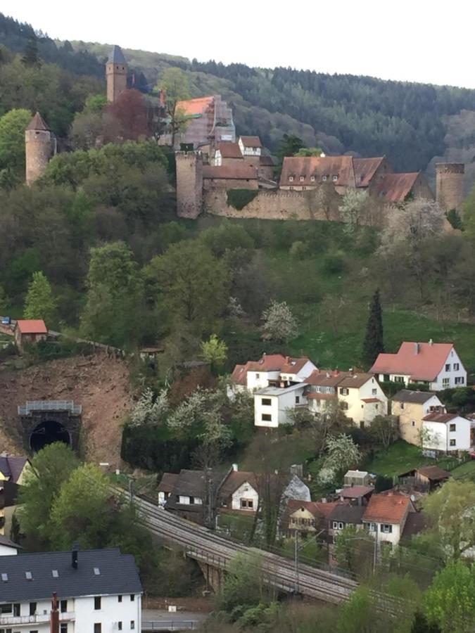 Neckarblick,Natur, Altstadt ฮิชฮอร์น ภายนอก รูปภาพ