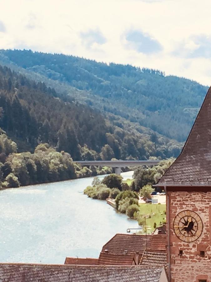 Neckarblick,Natur, Altstadt ฮิชฮอร์น ภายนอก รูปภาพ