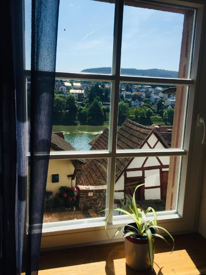 Neckarblick,Natur, Altstadt ฮิชฮอร์น ภายนอก รูปภาพ