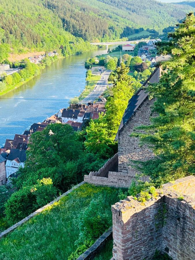 Neckarblick,Natur, Altstadt ฮิชฮอร์น ภายนอก รูปภาพ