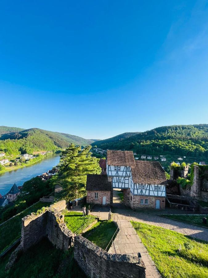 Neckarblick,Natur, Altstadt ฮิชฮอร์น ภายนอก รูปภาพ