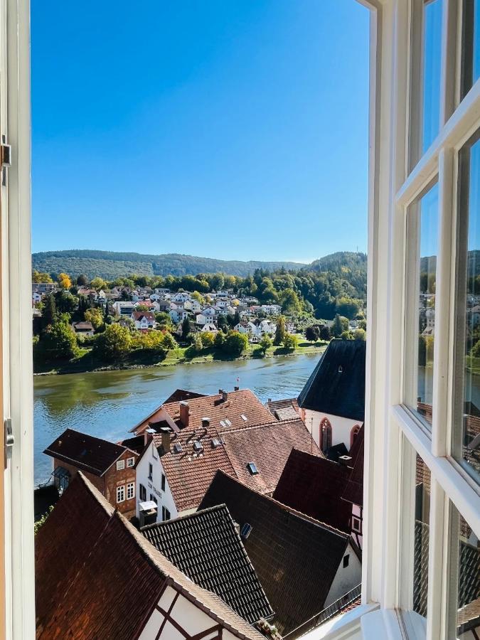 Neckarblick,Natur, Altstadt ฮิชฮอร์น ภายนอก รูปภาพ