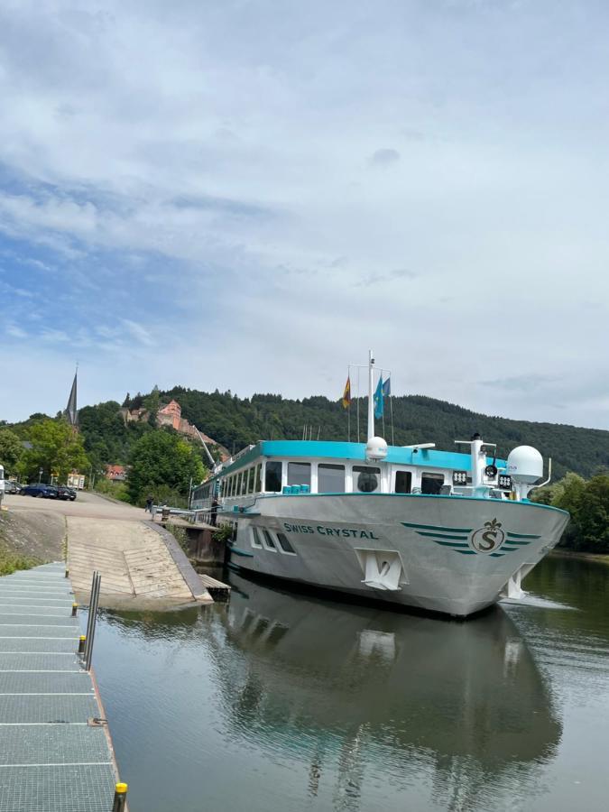 Neckarblick,Natur, Altstadt ฮิชฮอร์น ภายนอก รูปภาพ