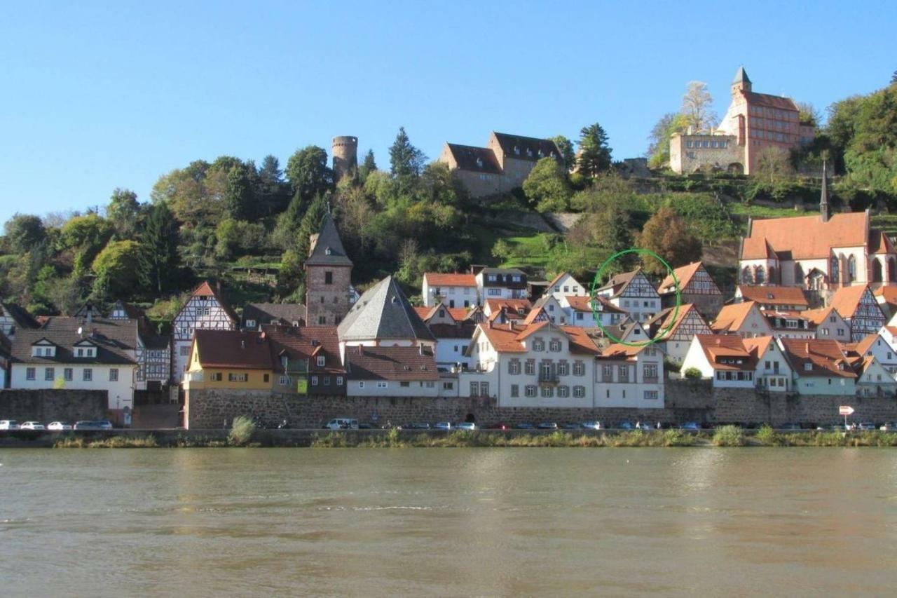 Neckarblick,Natur, Altstadt ฮิชฮอร์น ภายนอก รูปภาพ