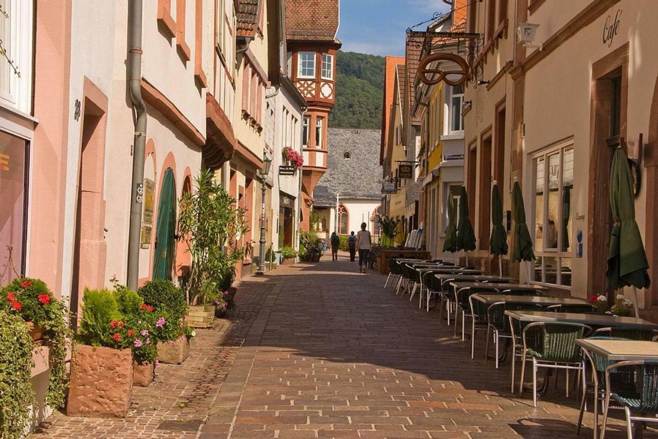 Neckarblick,Natur, Altstadt ฮิชฮอร์น ภายนอก รูปภาพ
