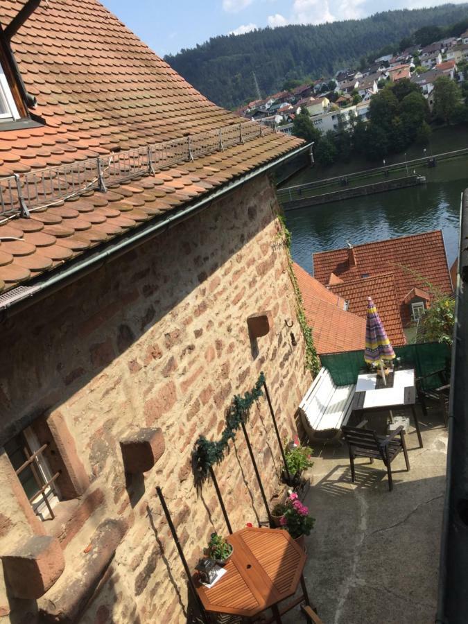 Neckarblick,Natur, Altstadt ฮิชฮอร์น ภายนอก รูปภาพ