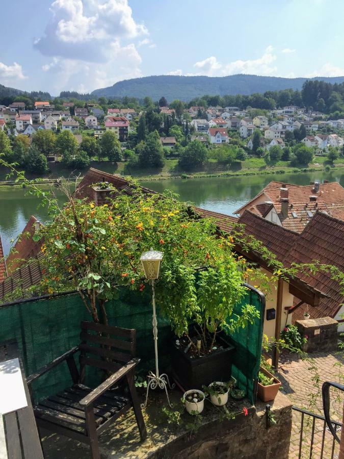 Neckarblick,Natur, Altstadt ฮิชฮอร์น ภายนอก รูปภาพ